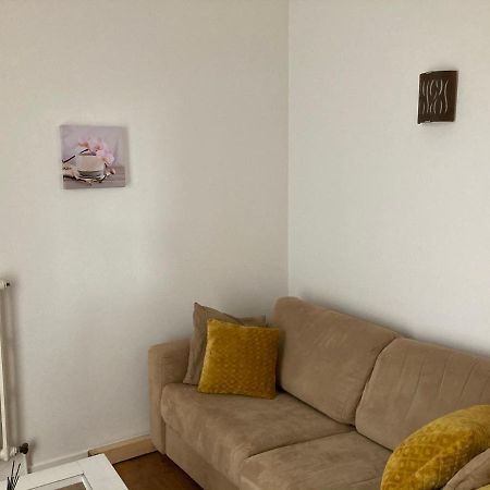 Apartmán Appart Aux Deux Colombes Avec Balcon Et Garage Pamiers Exteriér fotografie